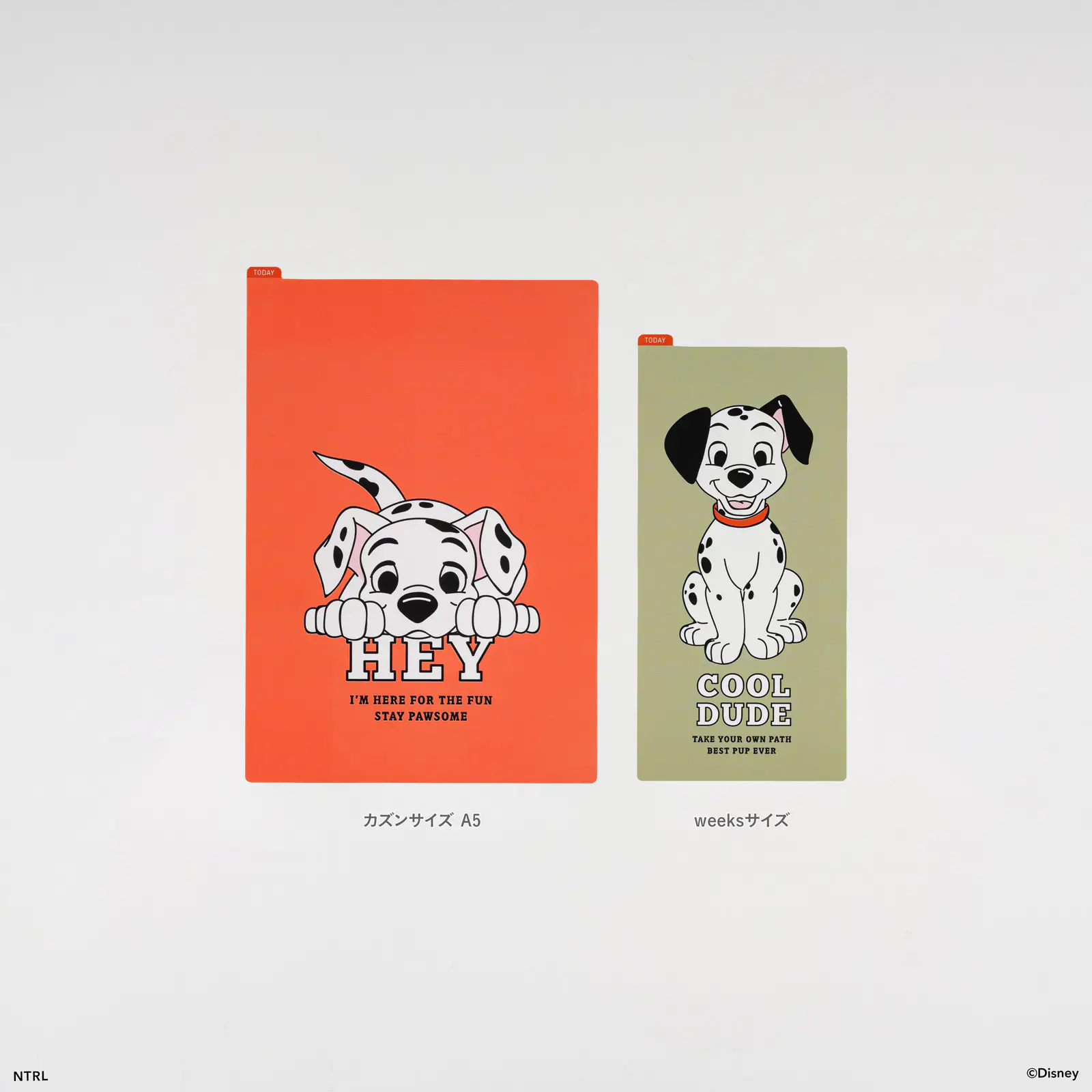 prod_01-17.webp